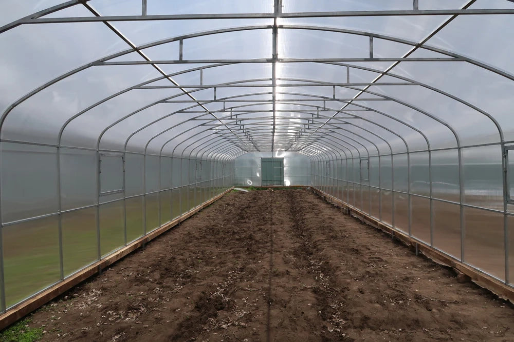 Serra da giardino HERCULES 5.5 x 8 m (44 m²), 4 mm con rivestimento in policarbonato