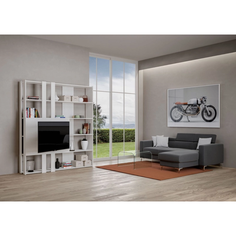Composizione Libreria Kato 6R 2 fianchi 2 fasce lunghe 2 fasce corte 2 fasce medie pannello TV - Bianco Frassino,M
