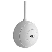 PULSANTE ESTERNO A PARETE PNEUMATICO UNIVERSALE OLIVER- OLIVE- pezzi 1