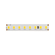 Striscia Led Fine 79 - 24V, 10W/m, CRI≥80, IP20, 3000K - Bobina 5m - Beneito Faure - Striscia a led led per interni