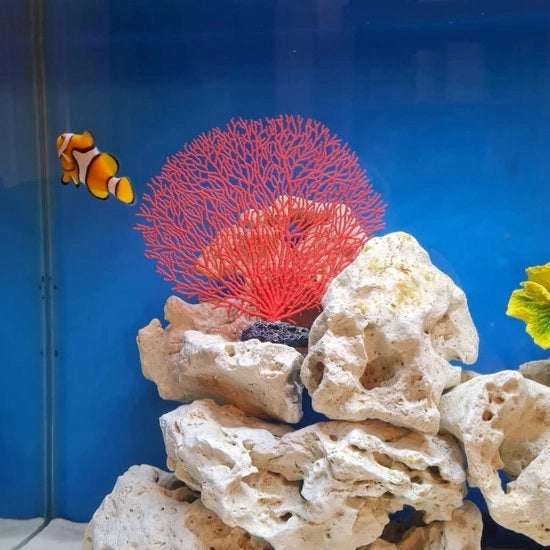 Decorazione per acquario Kunstmatig Koraal Realistico - Materiale PVC - Ornamento per anemone marino - Simulazione paesaggio - Dimensioni 18x16x5 cm
