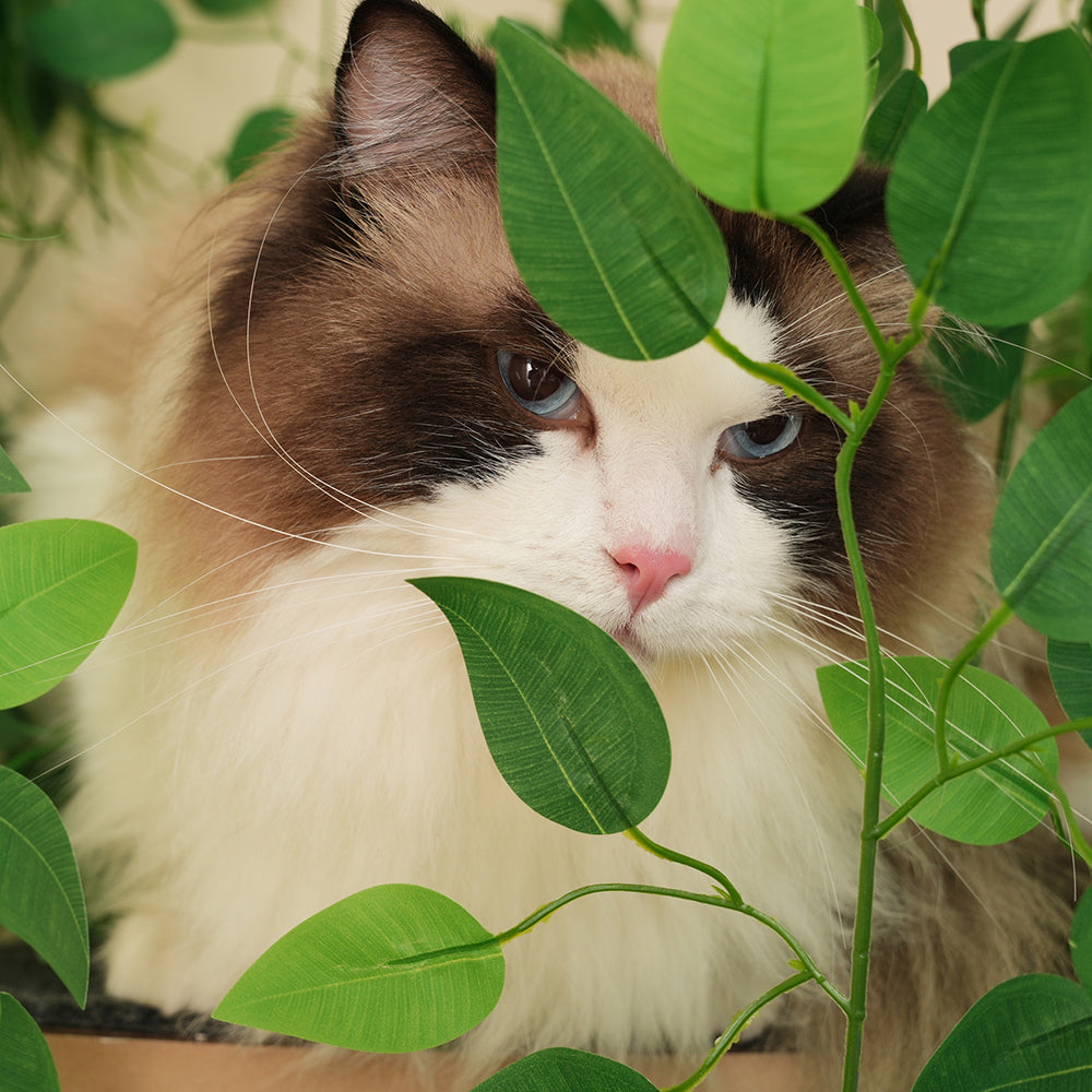 Tiragraffi-Xylo-190cm 4 piattaforme foglie removibili