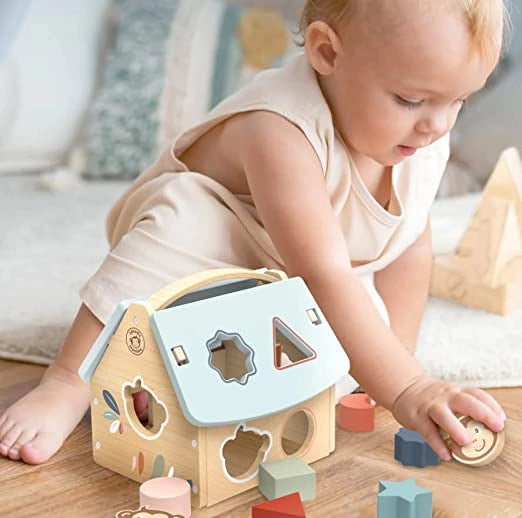 Cubo Incastri Bambini Cubo Incastri con Forme Cubi Legno Bambini Giochi Montessori 2 Anni Regalo Bambino 2 Anni Giocatto