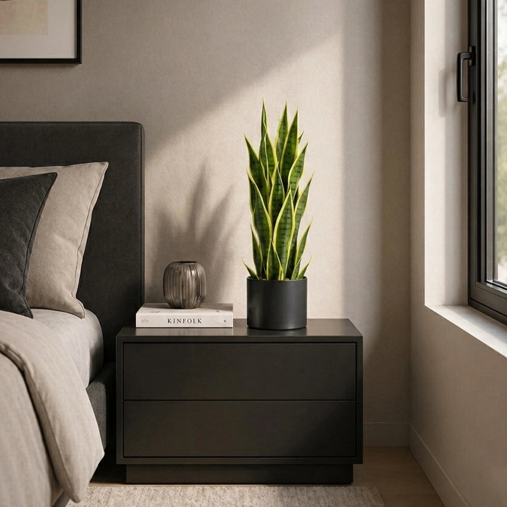 Sansevieria Artificiale pianta h 70 cm sfumature naturali contorni giallo-verdi