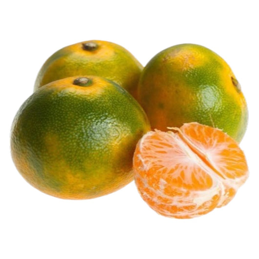 PIANTA Albero di MANDARINO SATSUMA giapponese VERDE H130 FOTO REALE