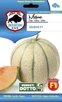 SEMENTI MELONE ESADOR