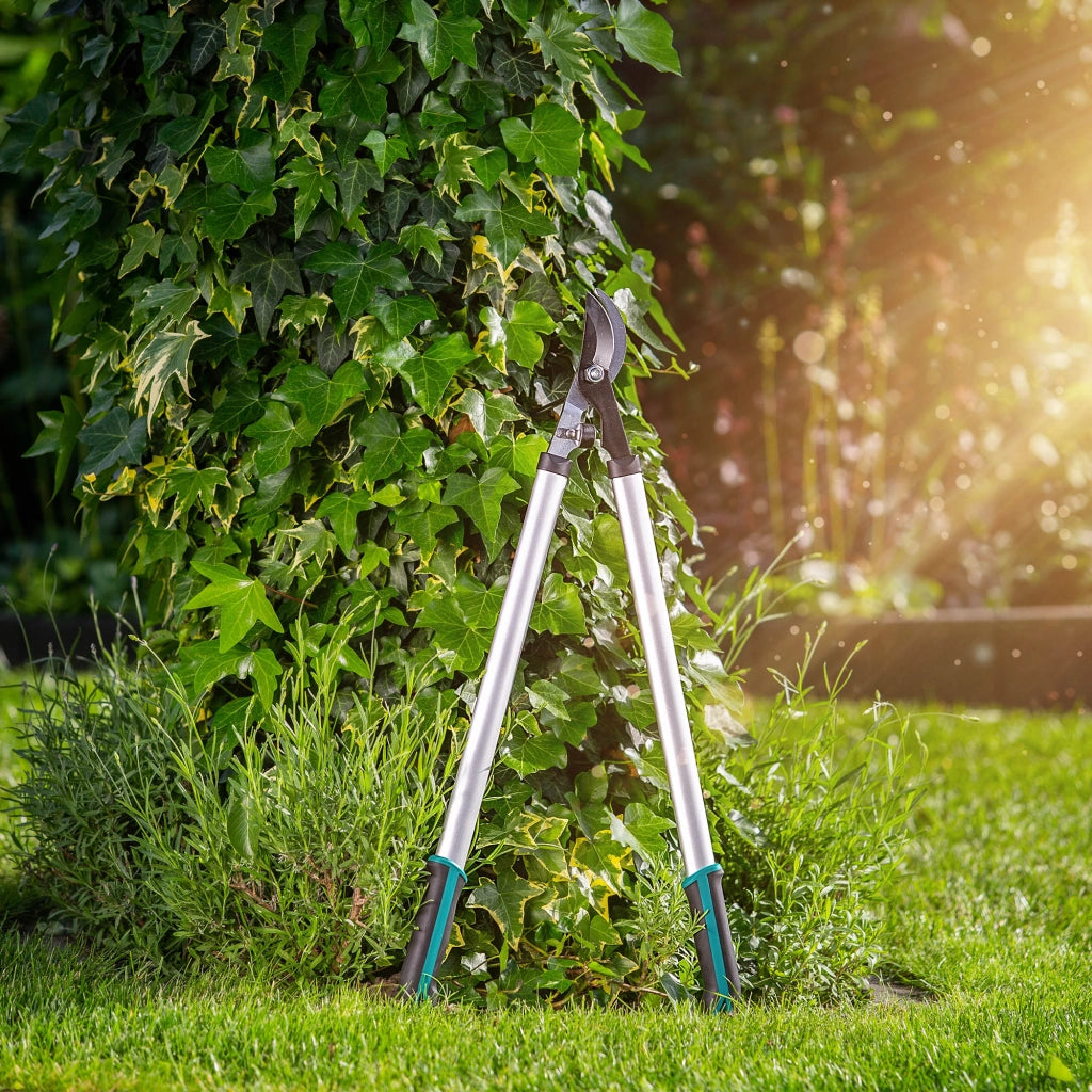 Forbici da potatura KADAX, forbici da giardino per arbusti, 72 cm, a due mani, lunghe, affilate, leggere.