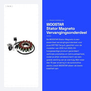 Alternatore Magneto Ricambio per KRT750 Teryx4 2012-2023