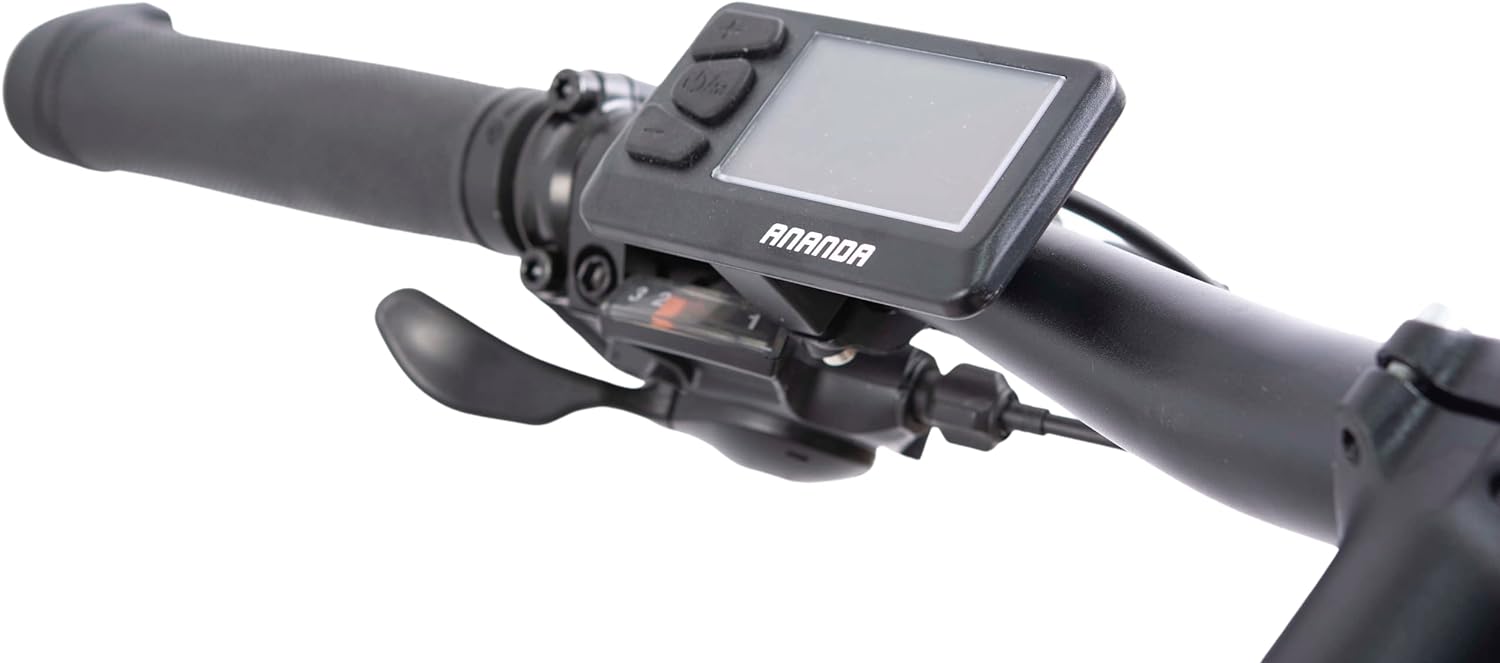 F.LLI SCHIANO E-MERCURY 29''E-Bike MTB, Bicicletta Elettrica Mountainbike con Motore 250W e Batteria 36V 11,6Ah estraibi