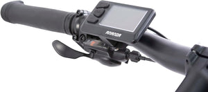 F.LLI SCHIANO E-MERCURY 29''E-Bike MTB, Bicicletta Elettrica Mountainbike con Motore 250W e Batteria 36V 11,6Ah estraibi