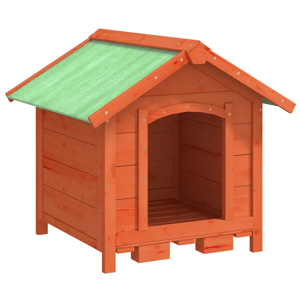 Cuccia per Cani Marrone 65x65x61,5 cm in Legno Massello di Pino 172273