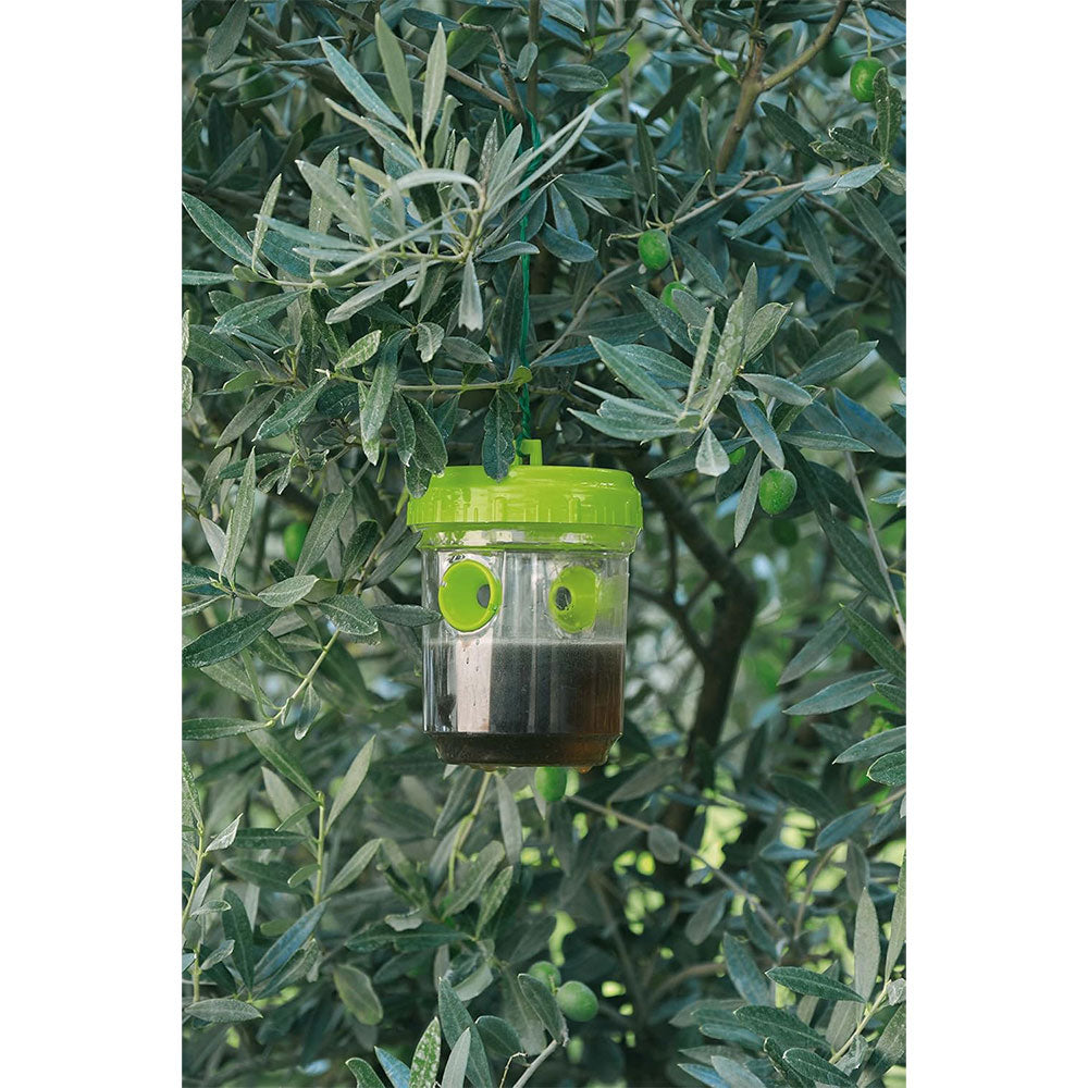 Verdemax 1 Trappola in Scatola per vespe