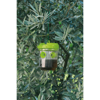 Verdemax 1 Trappola in Scatola per vespe