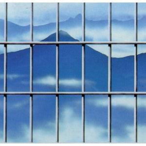 RETE ELETTROZINCATA H175CM 25M MAGLIA 50X75MM