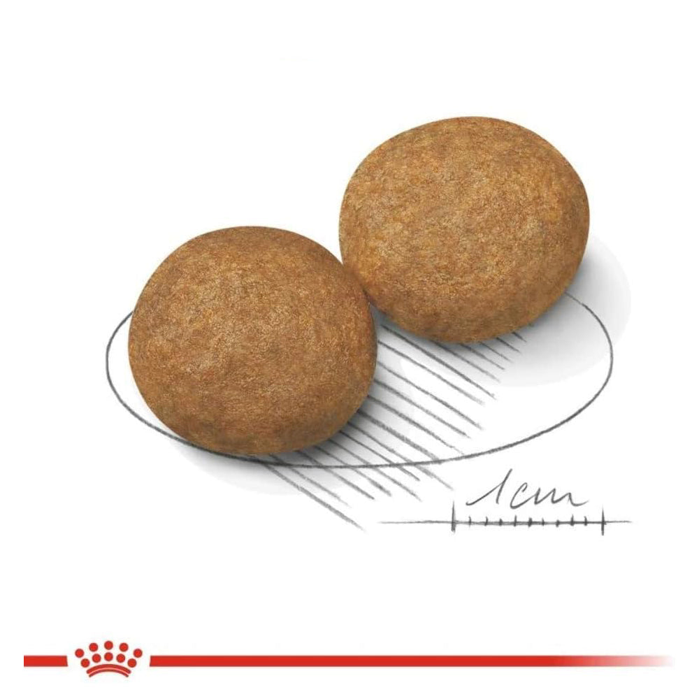 Royal Canin Medium Adult 12kg