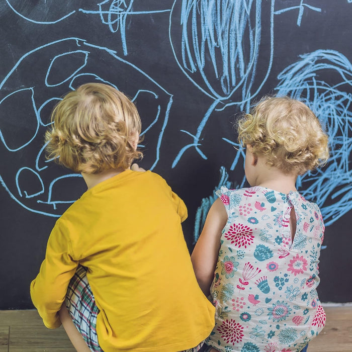 SMALTO ACQUA BOARDTIX 1L NERO LAVAGNA