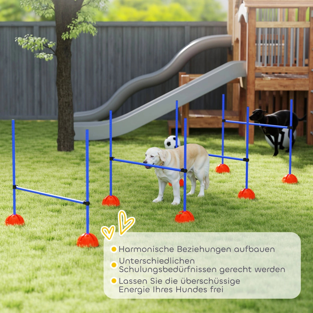 Set Agility per Cani con 4 Ostacoli e Borsa Trasportabile ¨C Minimal ¨C Blu