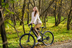 F.LLI SCHIANO E-MERCURY 29''E-Bike MTB, Bicicletta Elettrica Mountainbike con Motore 250W e Batteria 36V 11,6Ah estraibi