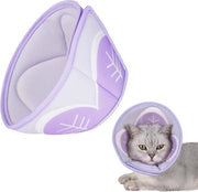 Cintura per gatto - Cintura per gatto - Operazione cintura per gatto - Cintura per gatto operativa - Cintura per gatto chirurgica