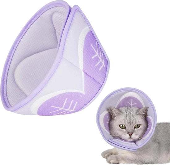 Cintura per gatto - Cintura per gatto - Operazione cintura per gatto - Cintura per gatto operativa - Cintura per gatto chirurgica