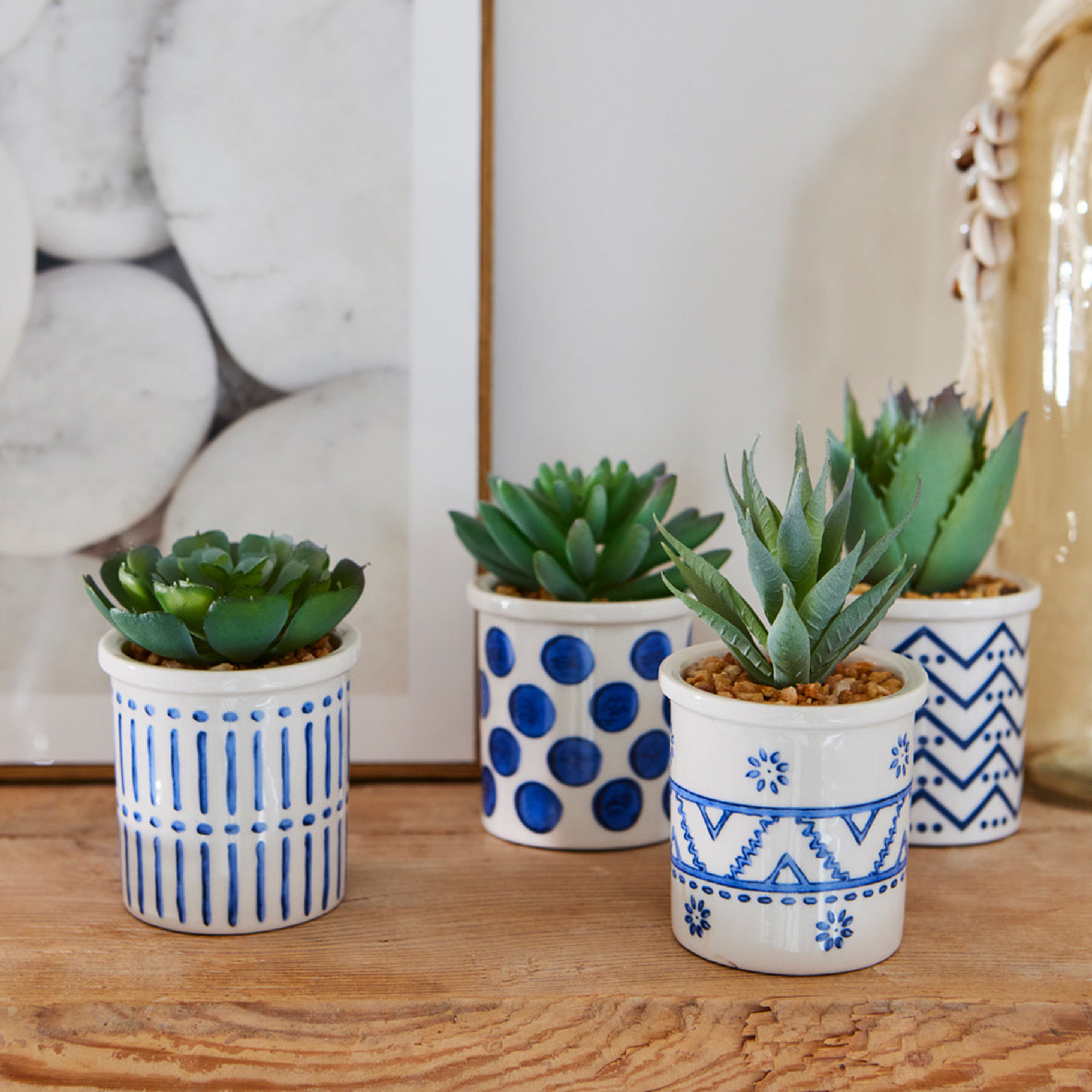 PIANTA GRASSA H9CM BIANCO / BLU VASO CERAMICO.