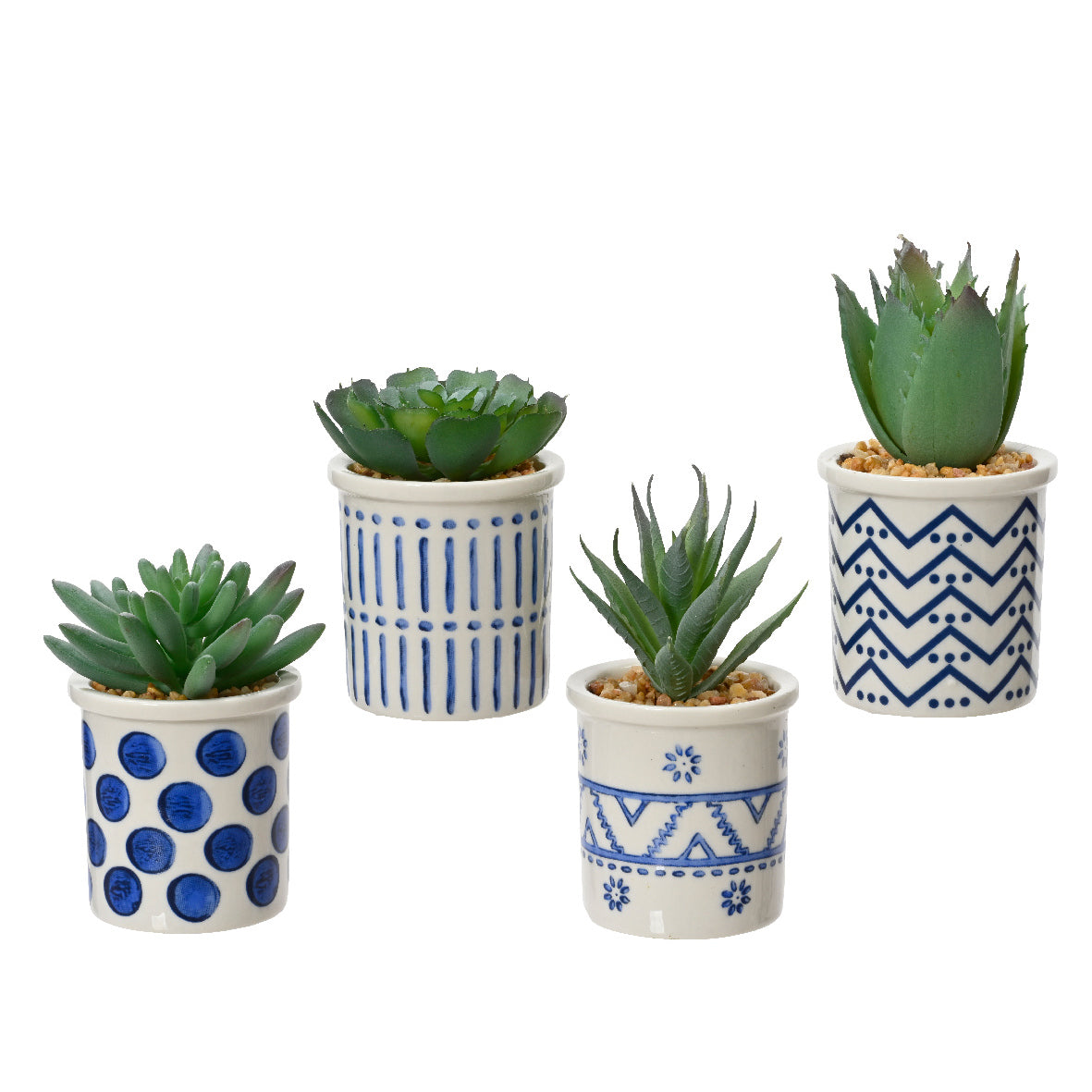 PIANTA GRASSA H9CM BIANCO / BLU VASO CERAMICO.