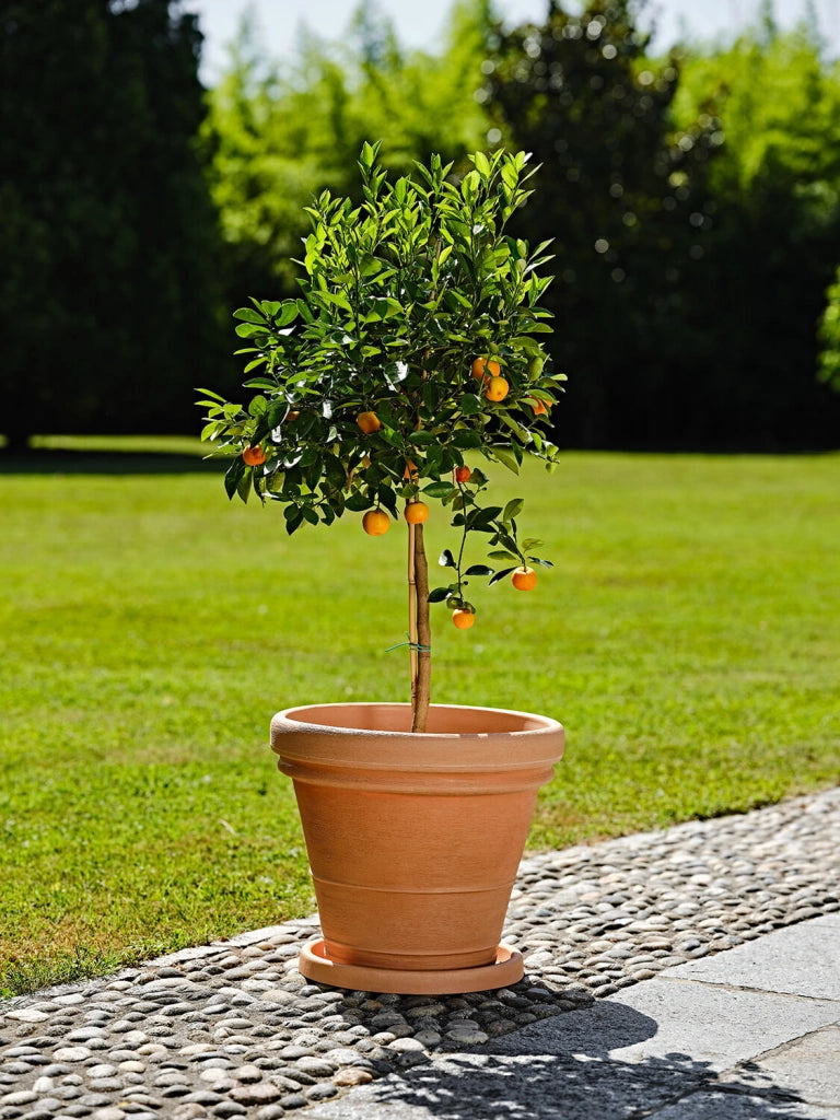 Vaso Ø70x58 cm in Polietilene Doppio Bordo 70 Anticato