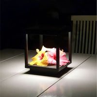 LAMPADA A RICARICA SOLARE NERA DA ESTERNO VISOR SOLAR BENEITO