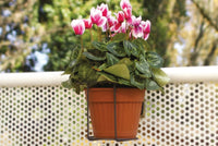 PORTAVASO TONDO PER BALCONE LEO DIAM. CM 22 ANTRACITE