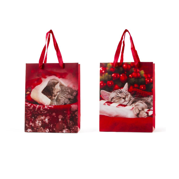 BORSA REGALO NATALIZIA CON GATTINI PREZZO CAD UNO