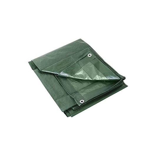 TELO CON OCCHIELLI MEDIO 2X3 MT