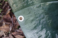 TELO VERDE 6X8 OCCHIELLATO