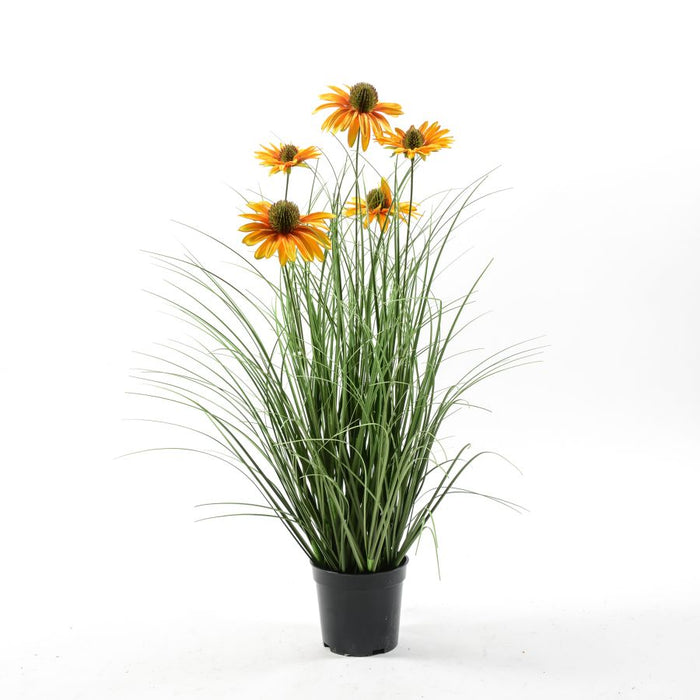 PIANTA IN VASO DI GIRASOLI 60CM