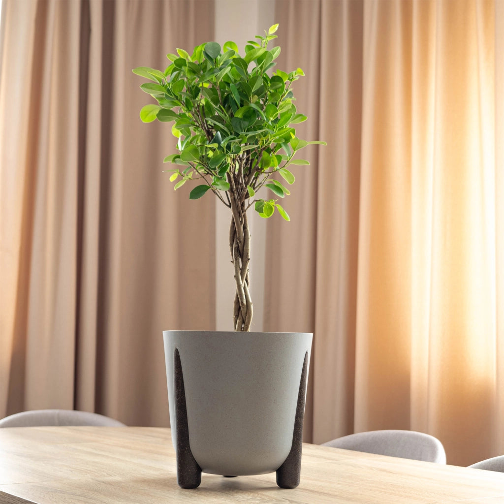 Vaso da fiori KADAX, coprivaso, in plastica, moderno, grigio, 34 cm