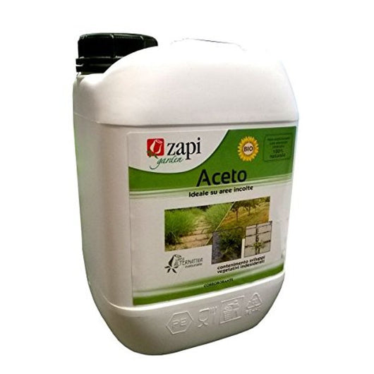 Zapi aceto concentrato 5lt zapi 200154