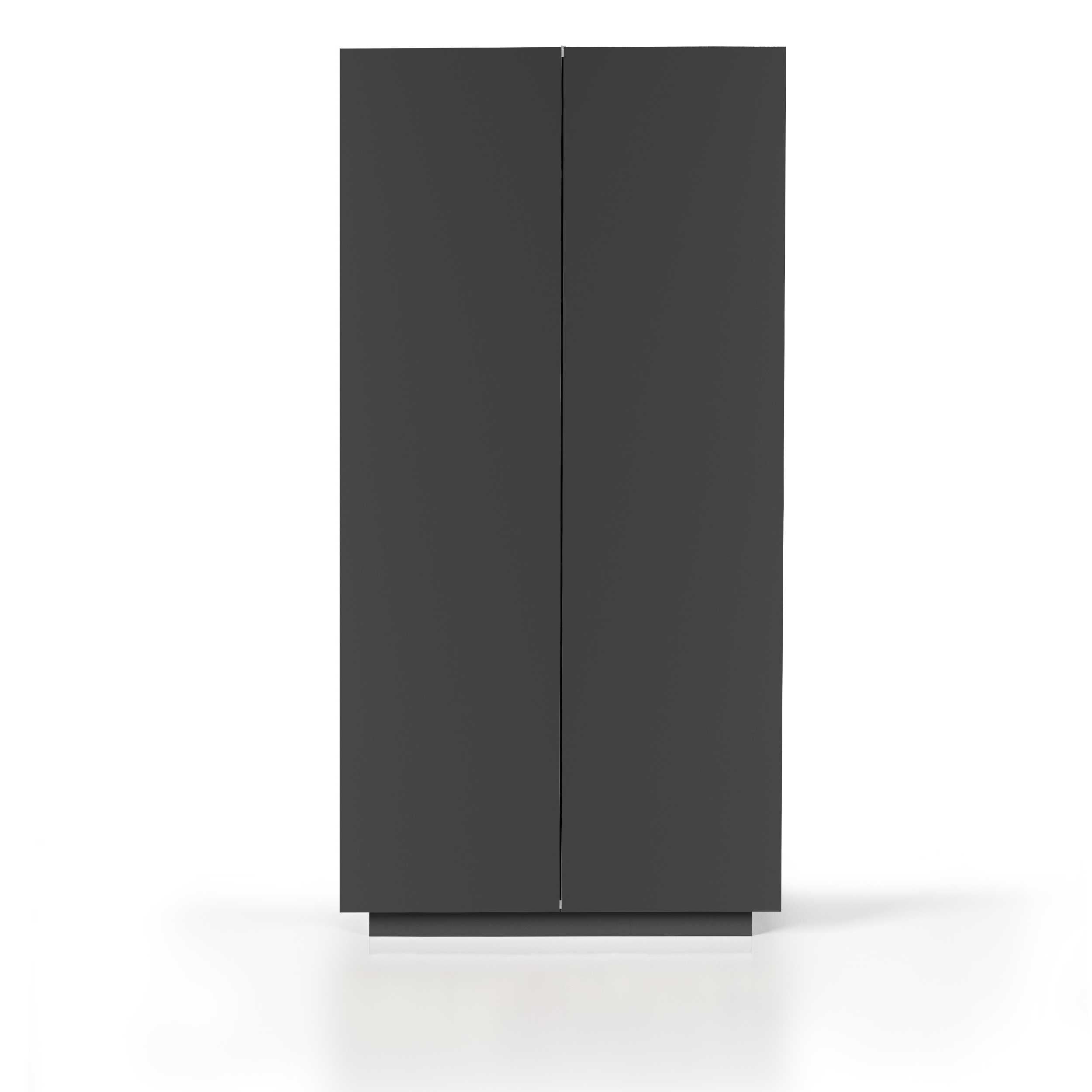 WHOUS Armadio Multiuso con 2 Ante, Made in Italy COLORE: Antracite opaco, DIMENSIONI: 79,20x38x166 cm