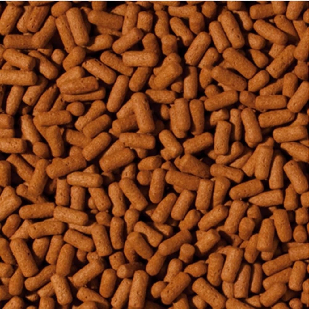Tropical Cichlid Arowana Large Sticks Formato: 1000 ml
