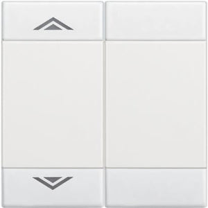 Copritasto LivingLight a 2 funzioni con serigrafia SU GIU' N4911M2AHN