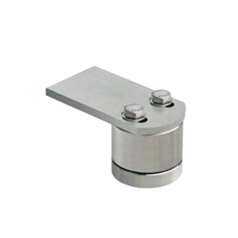 Cardine Regolabile Cuscinetto 50 Inox 86Ip Fc