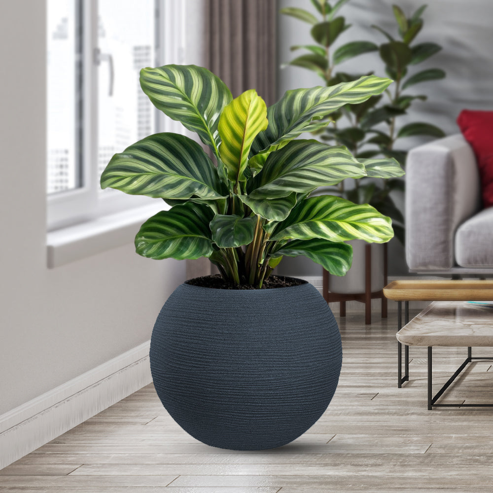 Vaso in resina da esterno interno per piante tondo a sfera di design d.40x33h Botticelli Grigio