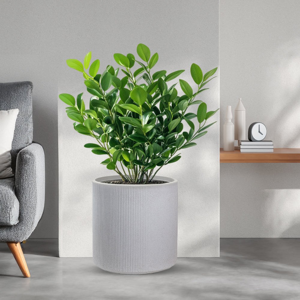 Vaso in resina da esterno interno per piante tondo cilindrico di design d.36x35h Modigliani Beige