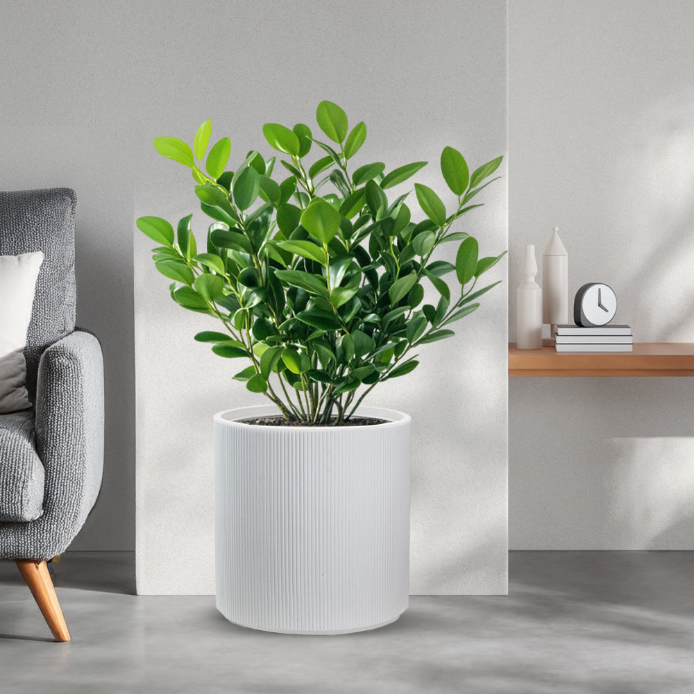 Vaso in resina da esterno interno per piante tondo cilindrico di design d.36x35h Modigliani Bianco