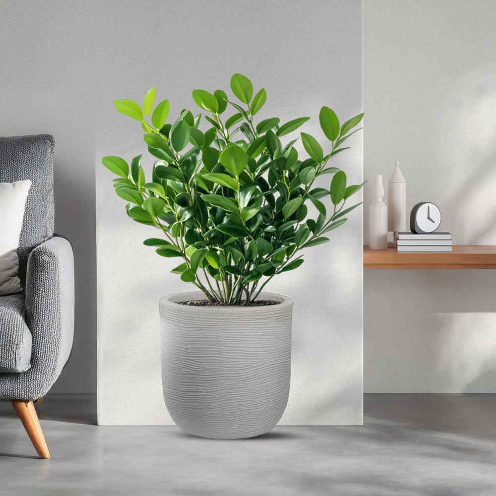 Vaso in resina da esterno interno per piante cilindro di design d.35x34h Raffaello Beige