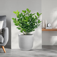 Vaso in resina da esterno interno per piante cilindro di design d.35x34h Raffaello Bianco