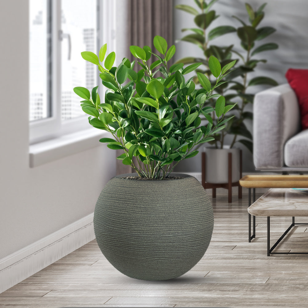 Vaso in resina da esterno interno per piante tondo a sfera di design d.40x33h Botticelli Verde