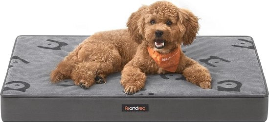 Letto per cani con comfort ortopedico e superficie impermeabile, 76x51 cm
