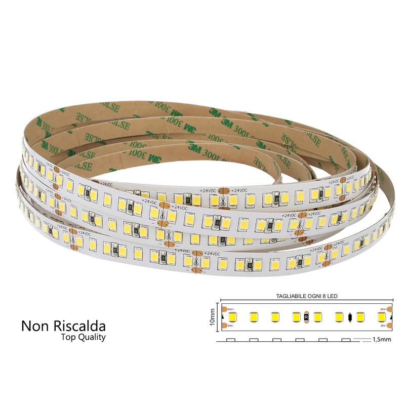 24V Bobina Striscia LED 12W/M 165LM/W 2000LM/M 3 Step Bianco Freddo 6000K 800 SMD 2835 5 Metri IP20
