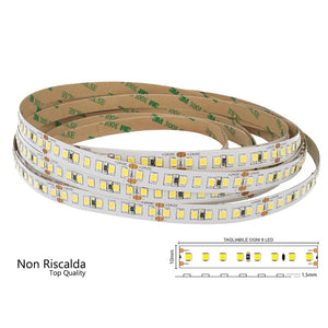 24V Bobina Striscia LED 12W/M 165LM/W 2000LM/M 3 Step Bianco Freddo 6000K 800 SMD 2835 5 Metri IP20