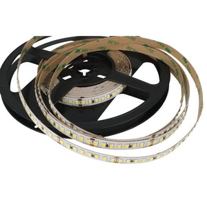 24V Bobina Striscia LED 12W/M 165LM/W 2000LM/M 3 Step Bianco Freddo 6000K 800 SMD 2835 5 Metri IP20
