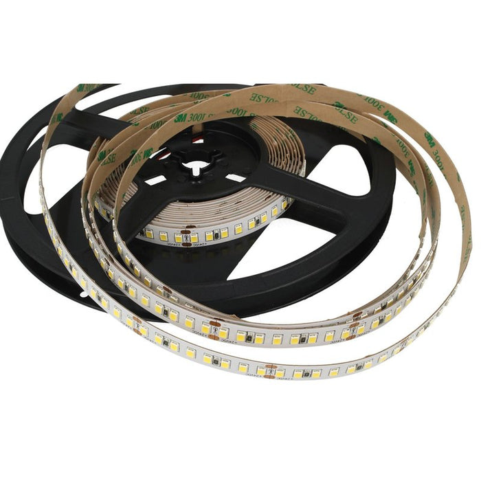 24V Bobina Striscia LED 12W/M 165LM/W 2000LM/M 3 Step Bianco Freddo 6000K 800 SMD 2835 5 Metri IP20